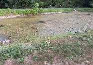 Andrási malom Pápateszér