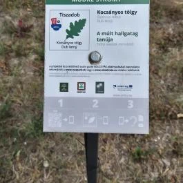 Andrássy-kastély, Tiszadob - Külső kép