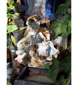 Angyalos Boldogasszony-kápolna