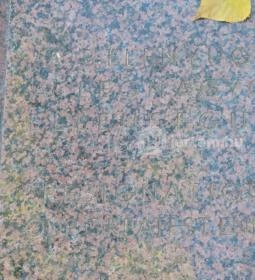 Anna Lindh emlékmű