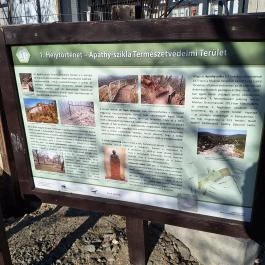 Apáthy-szikla, Budapest - Egyéb