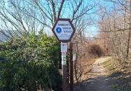 Apáthy-szikla Budapest