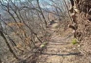 Apáthy-szikla Budapest