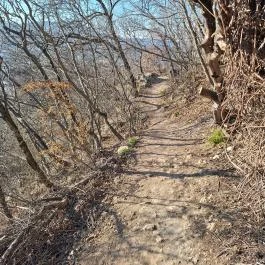 Apáthy-szikla, Budapest - Külső kép