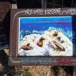 Apáthy-szikla, Budapest - Egyéb