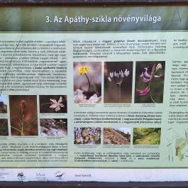 Apáthy-szikla, Budapest - Egyéb