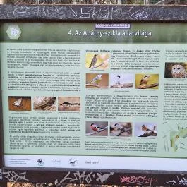 Apáthy-szikla, Budapest - Egyéb