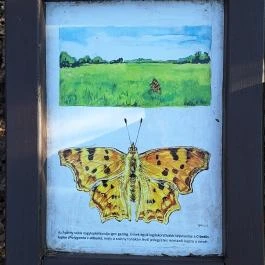 Apáthy-szikla, Budapest - Egyéb