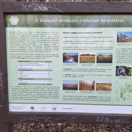 Apáthy-szikla, Budapest - Egyéb