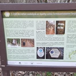 Apáthy-szikla, Budapest - Egyéb