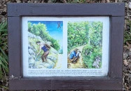 Apáthy-szikla Budapest