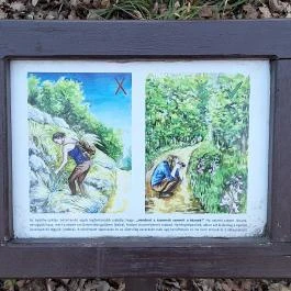 Apáthy-szikla, Budapest - Egyéb