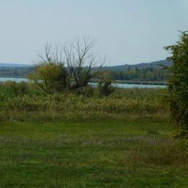 Apáti Étterem és Kávézó Tihany - Egyéb
