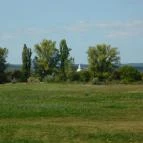 Apáti Étterem és Kávézó Tihany - Egyéb