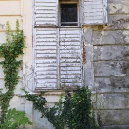 Apponyi-kastély Hőgyész - Egyéb