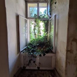 Apponyi-kastély Hőgyész - Egyéb