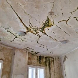 Apponyi-kastély Hőgyész - Egyéb