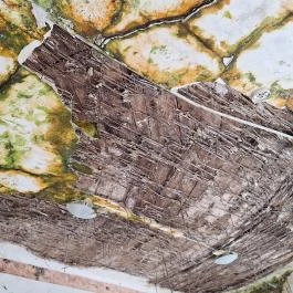 Apponyi-kastély Hőgyész - Egyéb