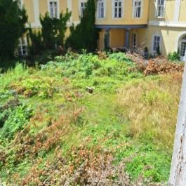 Apponyi-kastély Hőgyész - Külső kép