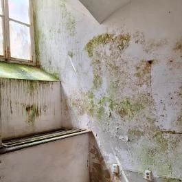 Apponyi-kastély Hőgyész - Egyéb