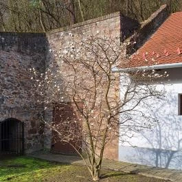 Apponyi Kúria Bátaapáti - Medence/kert