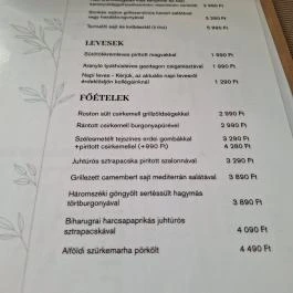 Arany János étterem, Geszt - Étlap/itallap