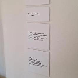 Arany János Irodalmi Emlékház Geszt - Egyéb