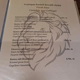Arany Oroszlán Étterem, Hajdúböszörmény - Étlap/itallap