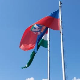 Aranybulla-emlékmű, Székesfehérvár - Egyéb