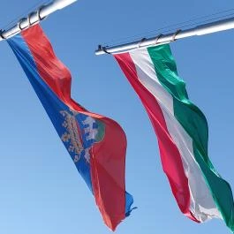 Aranybulla-emlékmű, Székesfehérvár - Egyéb