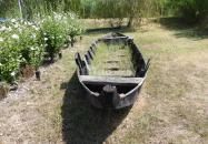 Aranyponty Halászati Múzeum Sáregres