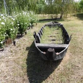 Aranyponty Halászati Múzeum, Sáregres - Egyéb