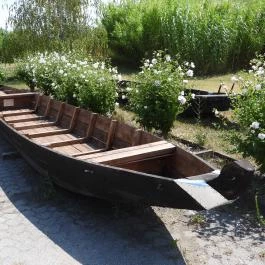 Aranyponty Halászati Múzeum, Sáregres - Egyéb