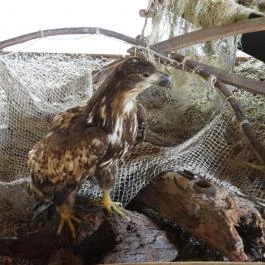 Aranyponty Halászati Múzeum, Sáregres - Belső