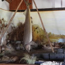 Aranyponty Halászati Múzeum, Sáregres - Belső