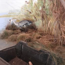 Aranyponty Halászati Múzeum, Sáregres - Belső