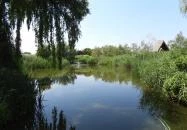 Aranyponty Halászati Múzeum Sáregres