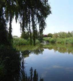 Aranyponty Halászati Múzeum