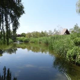 Aranyponty Halászati Múzeum, Sáregres - Külső kép