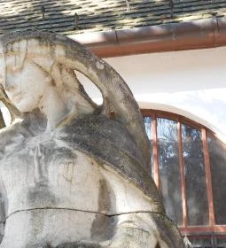 Árpád-házi Szent Erzsébet