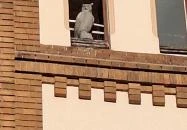 Árpád-házi Szent Erzsébet templom Budapest