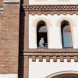 Árpád-házi Szent Erzsébet templom Budapest - Egyéb