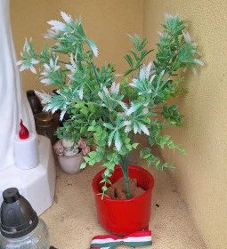 Árpád-házi Szent Kinga Templom