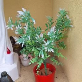 Árpád-házi Szent Kinga Templom, Küngös - Egyéb