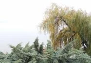 Árpád-híd Ráckeve