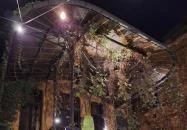 Arquitecto Pitpit Budapest