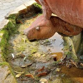 Artézi kút Mezőkövesd - Egyéb