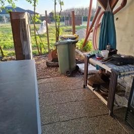 Arvisura Vendégházak, Zsombó - Egyéb