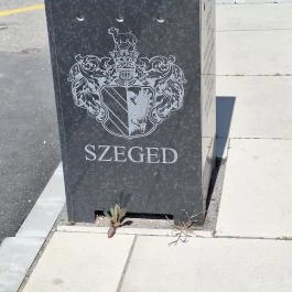 Árvízi emlékmű Szeged - Egyéb