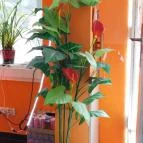 Asian Cuisine Pho Budapest - Belső